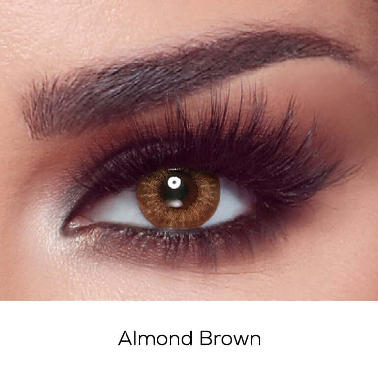 Bella One Day - Almond Brown -