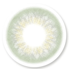 Veni Taylor Green VC-06