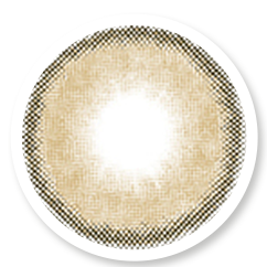 Veni Bassia Brown VC-01