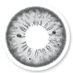 Veni Romona Gray Colored Contact Lens - VC-08