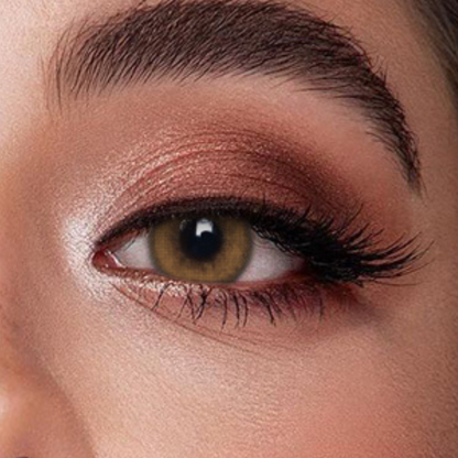 Veni Bassia Brown VC-01