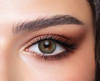 Bella One Day - Pine -