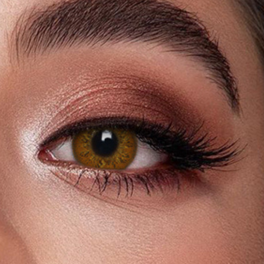 Veni Russain Brown VC-03