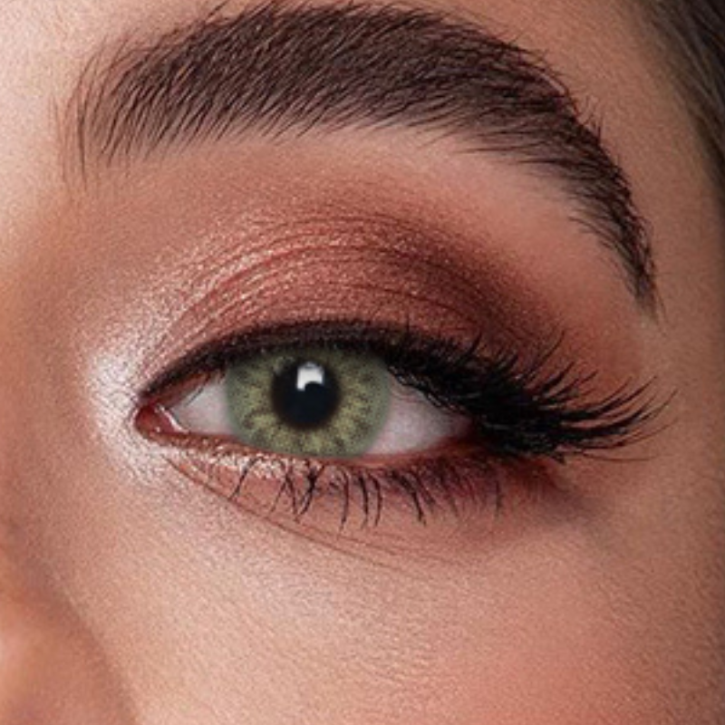 Veni Taylor Green VC-06