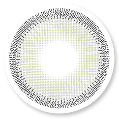 Veni Sugar Gray Colored Contact Lens – VC-23