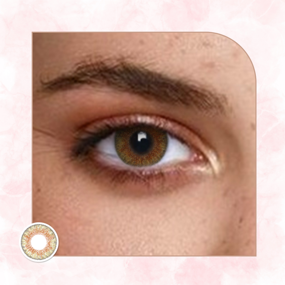 Veni Honey Colored Contact Lens – VC-09
