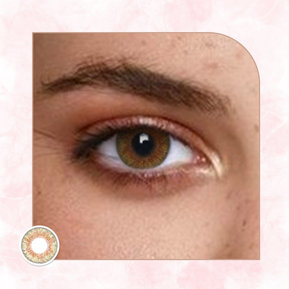Veni Honey Colored Contact Lens – VC-09