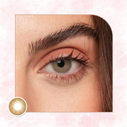 Veni Latte Colored Contact Lens – VC-25